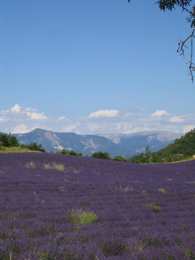 Les Vieux Murs Montfort  Cameră foto