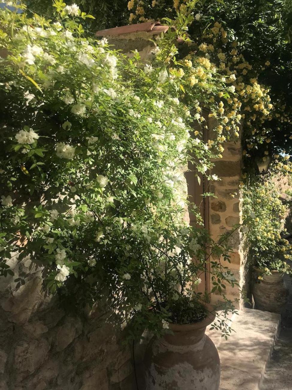 Les Vieux Murs Montfort  Exterior foto
